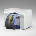 Cartucce e Taniche di manutenzione per Epson SureLab D700 MirageBundling