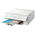 Cartucce per Canon Pixma TS6151 White