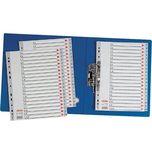 Divisori Per Raccoglitori Esselte Con 12 Tasti A4 - Cartoncino Riciclato, Multicolore - Foto 10