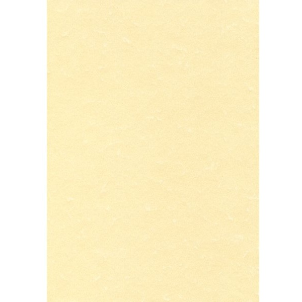 Decadry - PCL1601