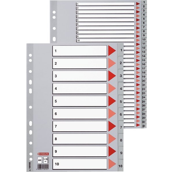 Esselte - 100108