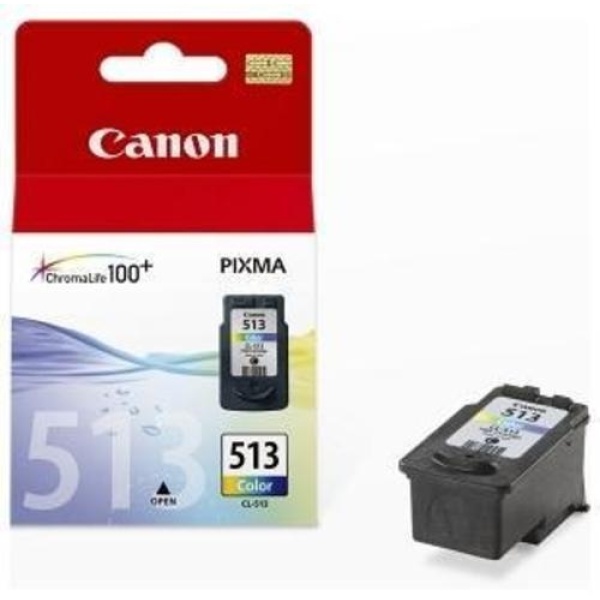 Cartuccia Canon CL-513 (2971B001) colore - 875119
