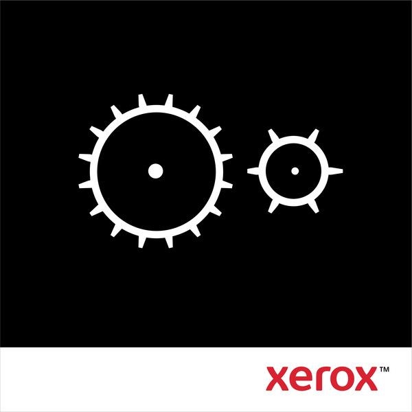 Kit manutenzione Xerox Scanner (116R00034) - B03391