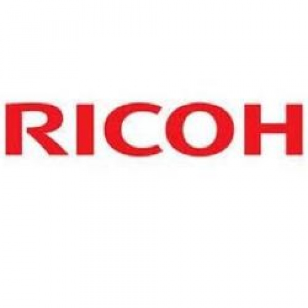 Developer Ricoh 3800B K112 (400595) colore - Y12093