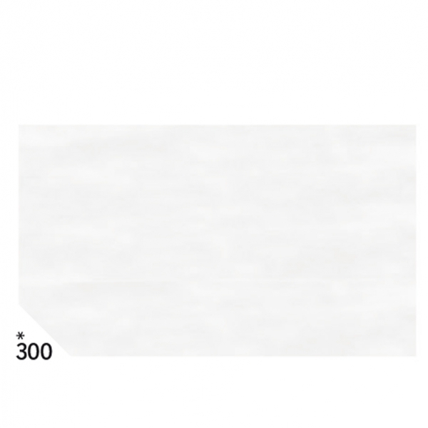 Busta 26fogli 50x70cm carta velina gr31 bianco sadoch - Z04619