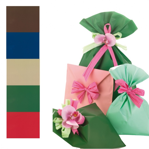 100 buste regalo in ppl mat a everyday classic 20x35cm 5 colori assortiti - Z05194