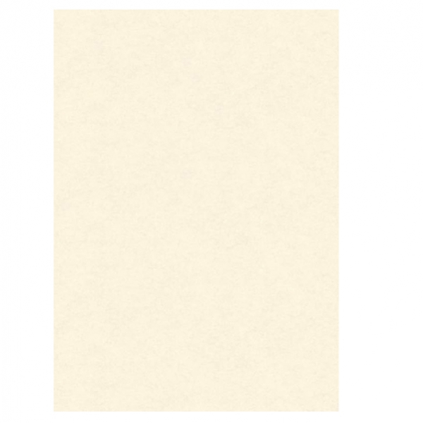 Blister 10 diplomi pergamena 297x420mm 160gr neutro avorio kartos - Z05745