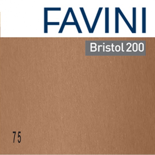 Conf.10 cartoncino Bristol Color 200gr 100x70cm marrone 75 Favini - Z12847