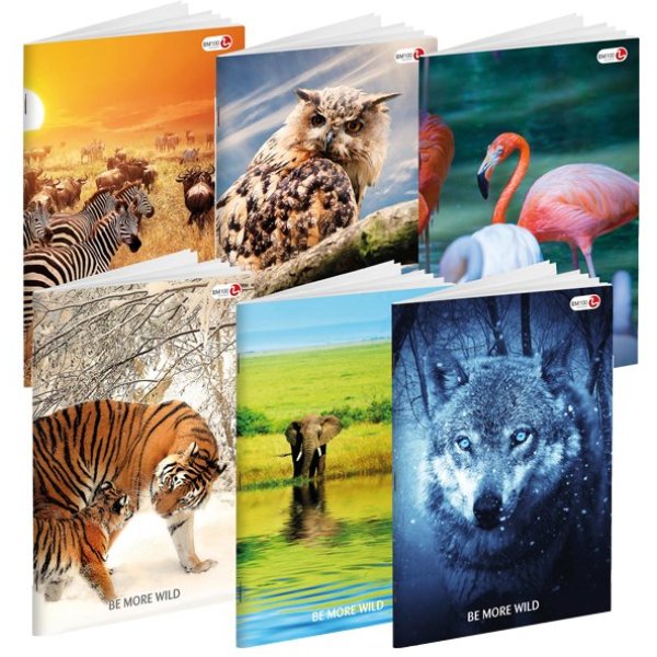 MAXIQUADERNO A4 36FG+2 100GR RIGO DI 3A WILD BE MORE SPECIAL 2018 B - Z12881