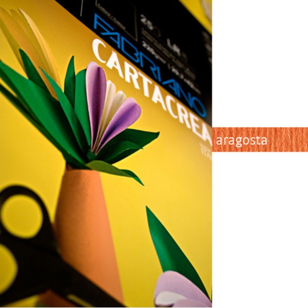BLISTER 10FG CARTONCINO 35X50CM 220GR ARAGOSTA CARTACREA FABRIANO - Z13306