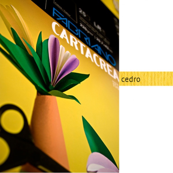 BLISTER 10FG CARTONCINO 35X50CM 220GR CEDRO CARTACREA FABRIANO - Z13308