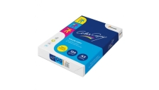 Mondi - 180012729