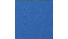 GBC - CE040020