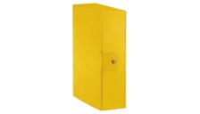Scatole portaprogetti Delso Order Esselte - dorso 10 cm - 25x35 cm - giallo - 390390090