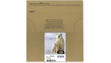 Cartuccia Epson 26XL (C13T26364510) nero-ciano-magenta-giallo - B01401