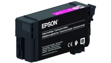 Cartuccia Epson C13T40D340 magenta - D02007