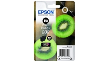 Cartuccia Epson 202 (C13T02F14010) nero fotografico - U00286