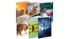 MAXIQUADERNO A4 36FG+2 100GR 1RIGO C/MARGINE WILD BE MORE SPECIAL 2018 BM - Z12882