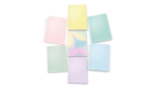 MAXI QUADERNO A4 80GR 40+2FG 4MM LINEA PASTEL MONOCROMO PIGNA - Z13669