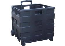 Cassetta pieghevole portatile Viso - nero - TROLLEY GP