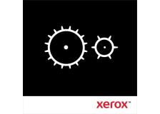 Rullo Xerox 116R00036 - B03509
