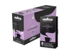 Capsule caffè Lavazza gusto AVVOLGENTE compatibile Nespresso - 8113 - D07026
