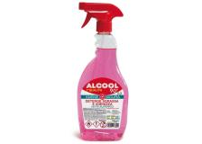 Alcool etilico denaturato  90% spray 750 ml - D07289