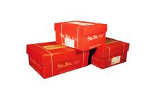 Carta in modulo continuo 24x11"x2 53gr (1000fg) lf piste staccabili - O01105