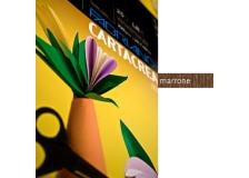 Blister 10fg cartoncino 35x50 220gr marrone cartacrea fabriano - Z01315