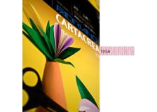 Blister 10fg cartoncino 35x50 220gr rosa cartacrea fabriano - Z01320