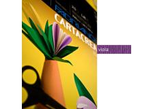 Blister 10fg cartoncino 35x50 220gr viola cartacrea fabriano - Z03743