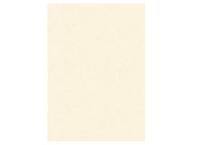 Blister 10 diplomi pergamena 210x297mm 160gr neutro avorio kartos - Z05744