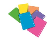 2267920q maxi quaderno A4 80gr 40+2fg 5mm c/margine fluo monocromo pigna - Z12757