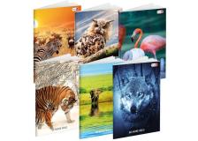 MAXIQUADERNO A4 36FG+2 100GR RIGO DI 3A WILD BE MORE SPECIAL 2018 B - Z12881