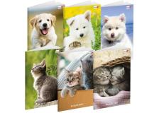 MAXIQUADERNO A4 36FG+2 100GR RIGO DI 1A BABY BE MORE SPECIAL 2018 BM - Z12889