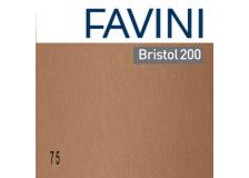 CONF.25 CARTONCINO BRISTOL COLOR 200GR 50X70CM MARRONE 75 FAVINI - Z13063