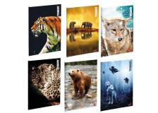 MAXIQUADERNO A4 40FG+2 80GR RIGO DI 3A ANIMAL 2018 BM - Z13282